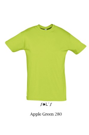 Sols Regent 11380 Apple Green 280