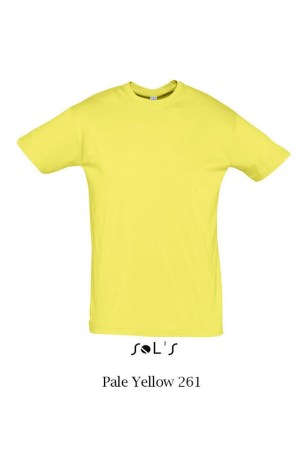 Sols Regent 11380 Pale Yellow 261